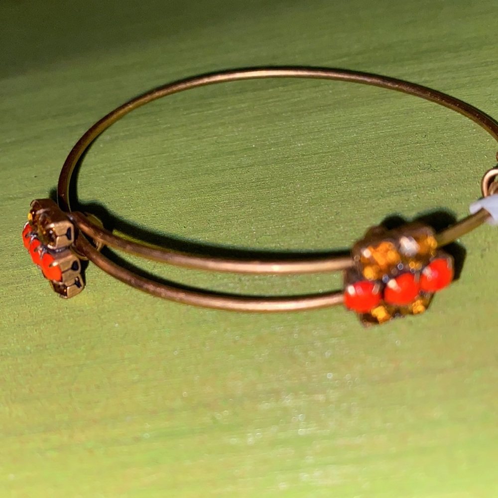 Brand new Alex and Ani bangle